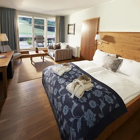 瑞姆伯格酒店 4* 施马伦贝格